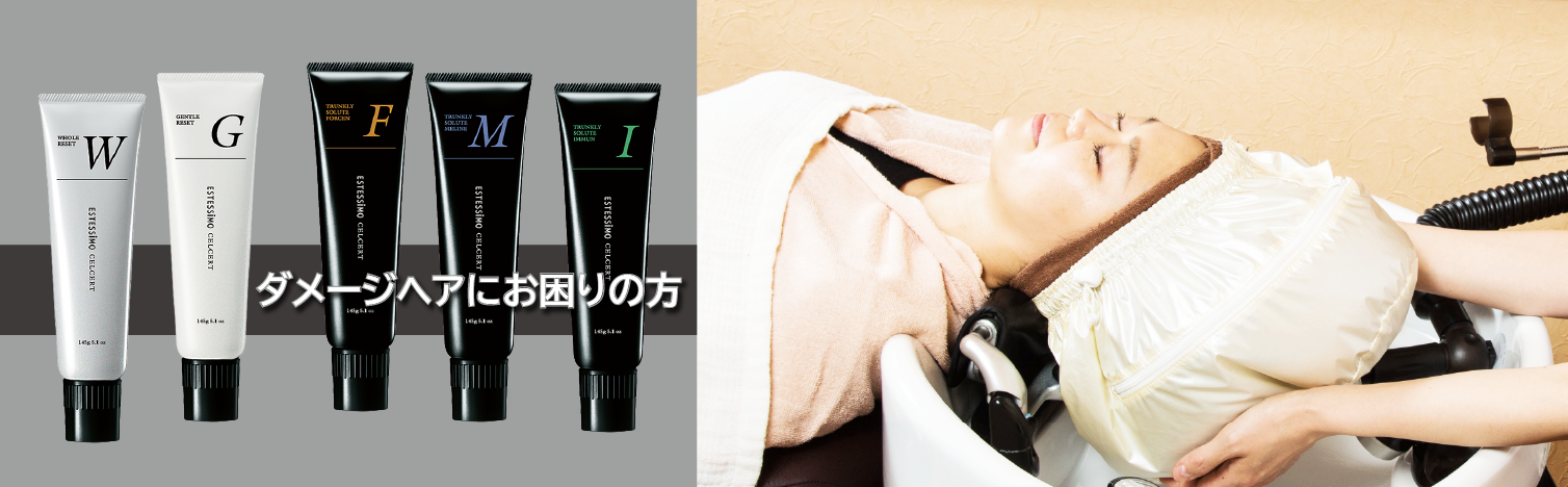 エステシモコース